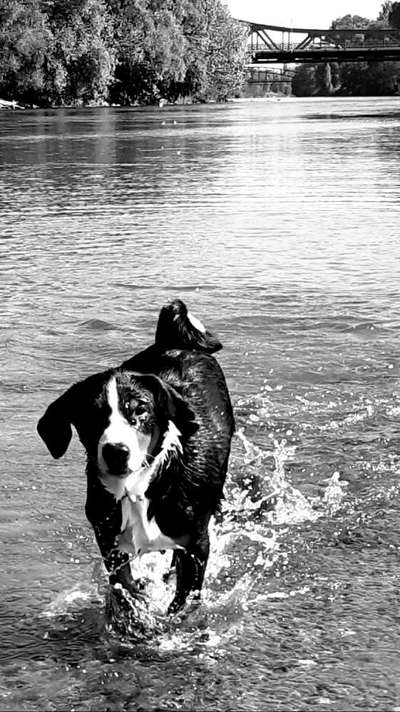 Foto-Challenge 76: Foto in Schwarz-Weiss-Beitrag-Bild