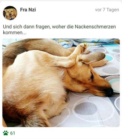 FOTO-Challenge  NR. 91: Die pure Entspannung-Beitrag-Bild