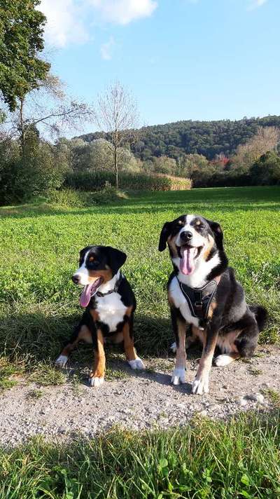 FOTOCHALLENGE 68: Dein Hund und sein bester Freund-Beitrag-Bild