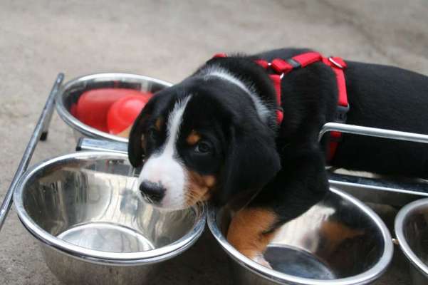 Foto Challenge 82-Beitrag-Bild