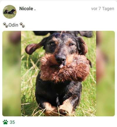 Fotochallenge No.97-Beitrag-Bild