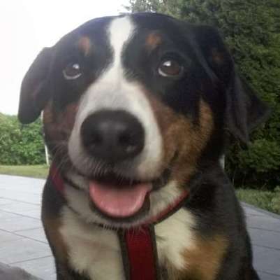 Fotochallange Nr. 6 Die irrsten Blicke-Beitrag-Bild