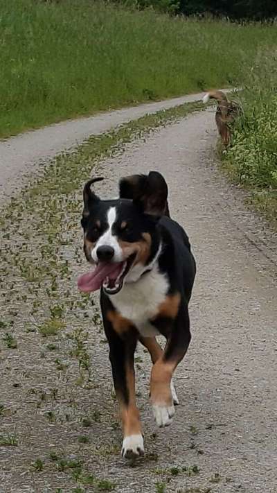 Foto-Challenge Nr. 90: Lebensfreude-Beitrag-Bild