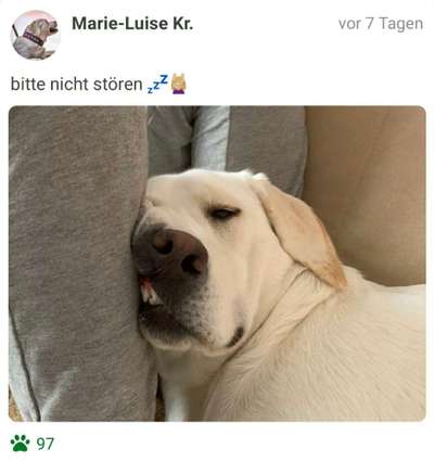 Foto Challange Nr.80-Beitrag-Bild