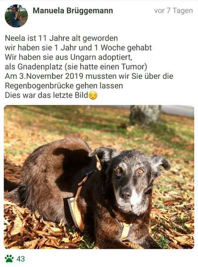 Fotochallenge Nr. 56 - geliebte Senioren-Beitrag-Bild