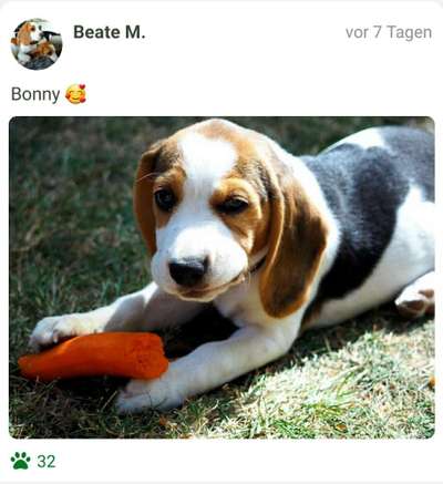 Foto Challenge 82-Beitrag-Bild