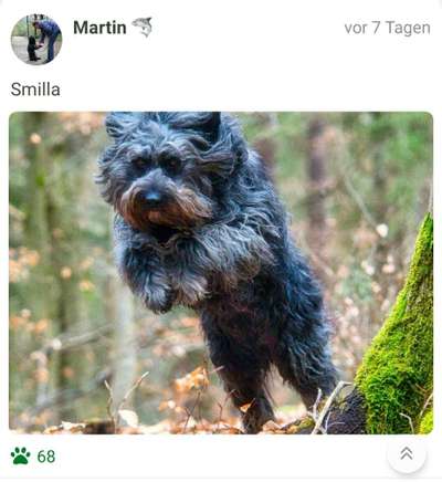 Foto Challenge Nr. 79-Beitrag-Bild