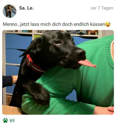 Fotochallenge Nr. 59 - Mein Hund zeigt die Zunge-Beitrag-Bild