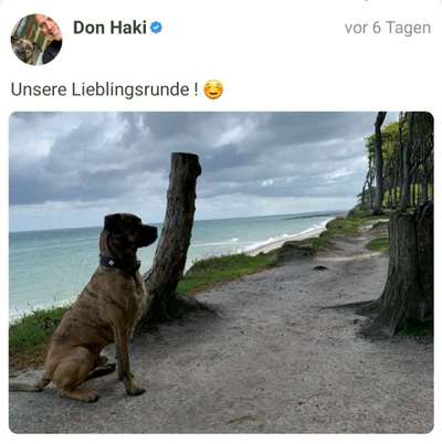 42.Fotochallenge - Eure schönen Momente beim Spaziergang-Beitrag-Bild