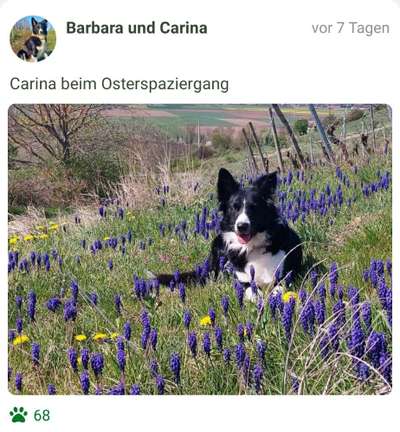 Fotochallenge 78

Es grünt und blüht-Beitrag-Bild