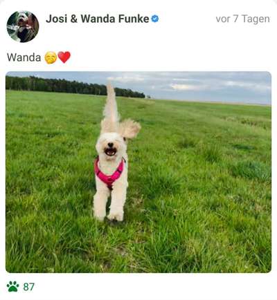 Fotochallange 84-Beitrag-Bild