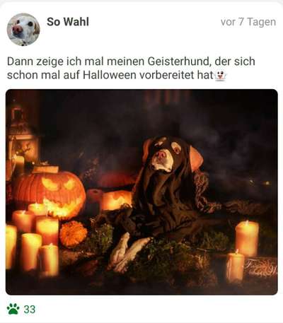 Fotochallenge Nr. 99 Herbst und Halloween🍁🍂-Beitrag-Bild