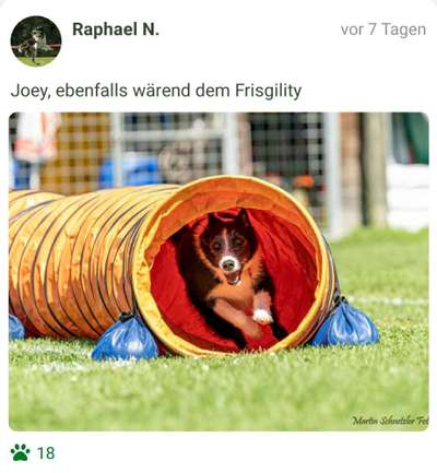 44. Foto - Challenge-Beitrag-Bild