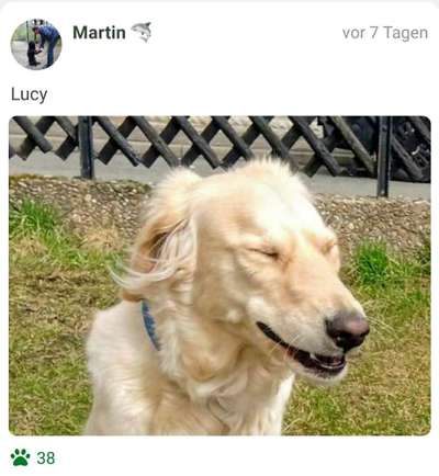 Fotochallenge Nr 50 Vom Winde verweht-Beitrag-Bild