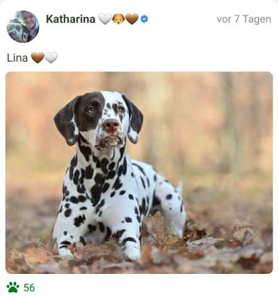 Foto Challenge Nr. 79-Beitrag-Bild