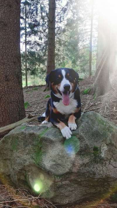 Foto Challenge Nr. 79-Beitrag-Bild