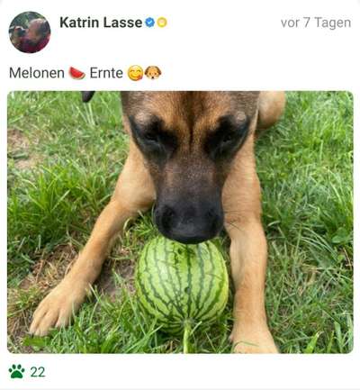 Fotochallenge Nr. 93 Es ist Erntezeit-Beitrag-Bild