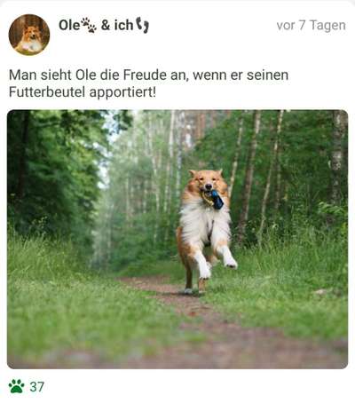 Fotochallenge No.97-Beitrag-Bild