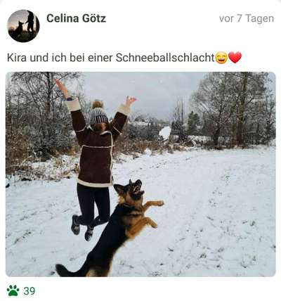 FOTO CHALLENGE 77 - Dein Hund im Spiel-Beitrag-Bild