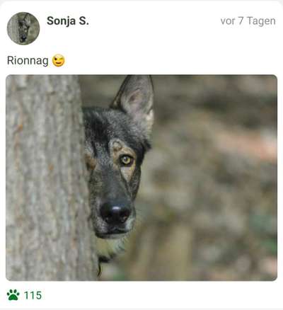 Fotochallange Nr. 57     PORTRÄT.   Beendet!!!!!!!!-Beitrag-Bild