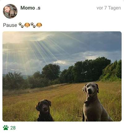 42.Fotochallenge - Eure schönen Momente beim Spaziergang-Beitrag-Bild