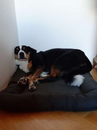 Foto Challange Nr.80-Beitrag-Bild