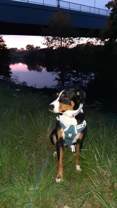 FOTOCHALLENGE 109: Leuchtwürmer Sicherheit im Straßenverkehr und mehr...-Beitrag-Bild