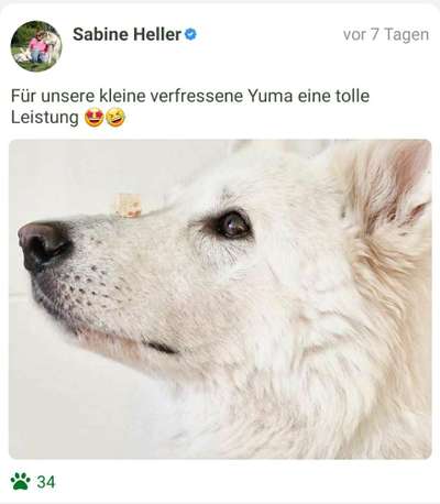 Fotochallenge Nr. 102: Futter balancieren-Beitrag-Bild