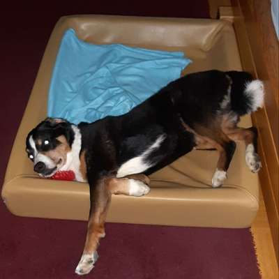 Die unbequemsten und lustigsten Schlafpositionen-Beitrag-Bild