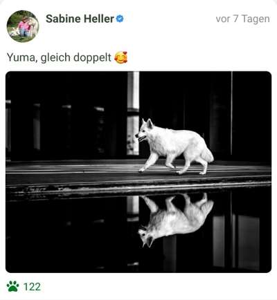 Foto-Challenge 76: Foto in Schwarz-Weiss-Beitrag-Bild