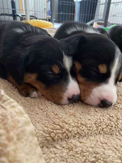 Fotochallenge 88-Beitrag-Bild