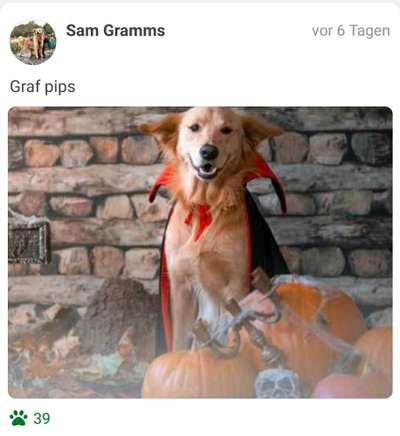 Fotochallange Nr.53 "HALLOWEEN"-Beitrag-Bild