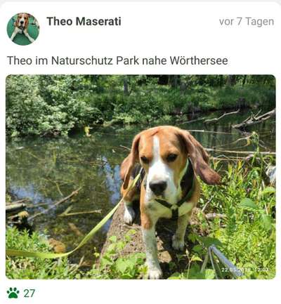 Fotochallenge 87: Im Park-Beitrag-Bild