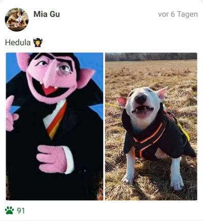 Fotochallange Nr.53 "HALLOWEEN"-Beitrag-Bild