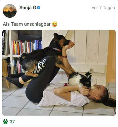 Fotochallenge 108: Starkes Team-Beitrag-Bild