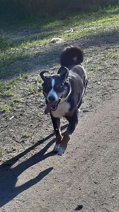 Vorher.... Nachher-Beitrag-Bild