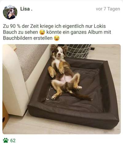 Fotochallenge Nr.65-Beitrag-Bild