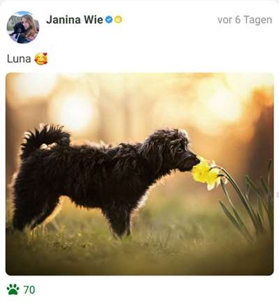 Fotochallenge 78

Es grünt und blüht-Beitrag-Bild