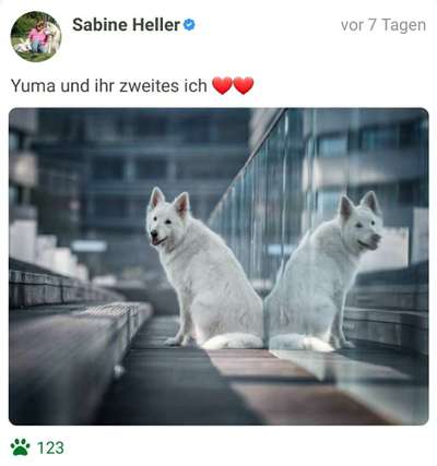 Fotochallenge 88-Beitrag-Bild