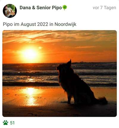 Fotochallenge Nr.100 Urlaubsimpressionen-Beitrag-Bild