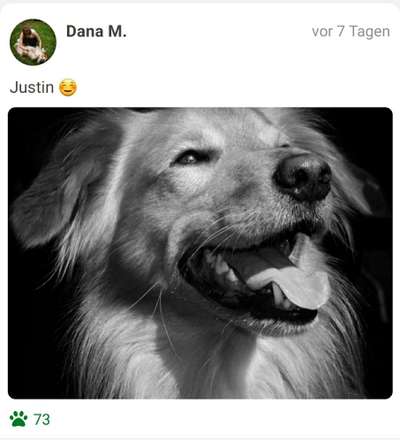 Foto-Challenge 76: Foto in Schwarz-Weiss-Beitrag-Bild