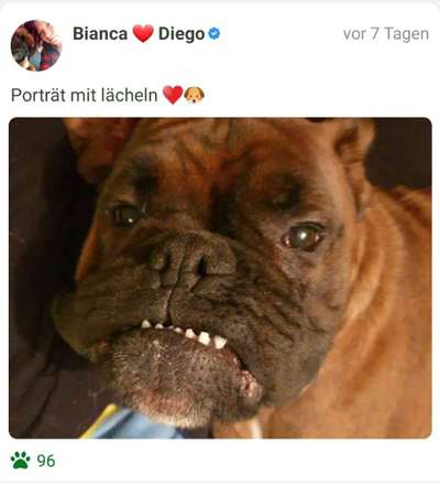 Fotochallange Nr. 57     PORTRÄT.   Beendet!!!!!!!!-Beitrag-Bild