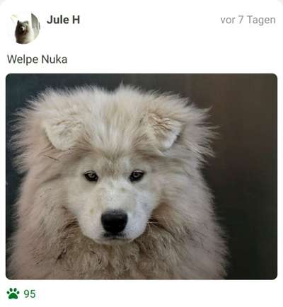 Fotochallange Nr. 57     PORTRÄT.   Beendet!!!!!!!!-Beitrag-Bild