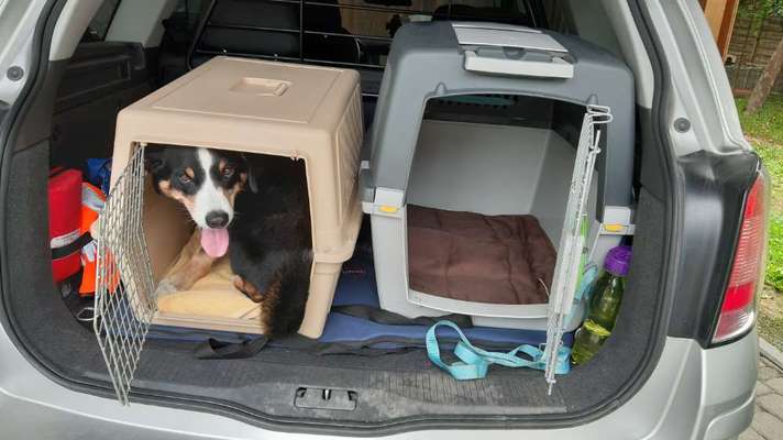 117. Fotochallenge-Beitrag-Bild