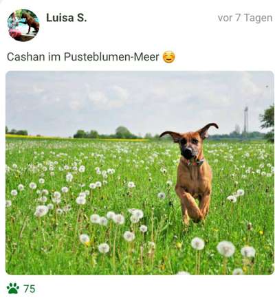 Fotochallenge 78

Es grünt und blüht-Beitrag-Bild