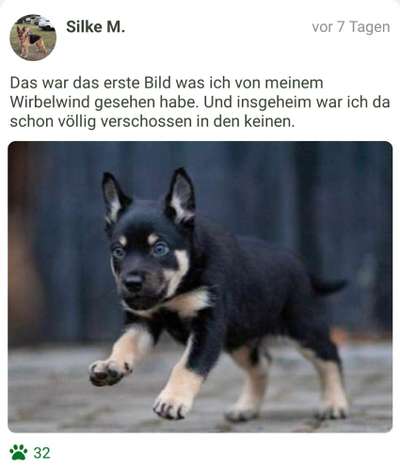 Foto Challenge 82-Beitrag-Bild