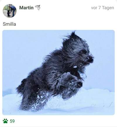 Fotochallenge 61 ~ Schnee-Beitrag-Bild