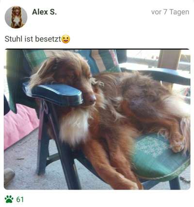 FOTO-Challenge  NR. 91: Die pure Entspannung-Beitrag-Bild