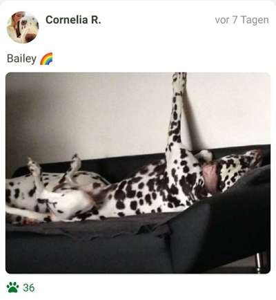 Foto Challange Nr.80-Beitrag-Bild