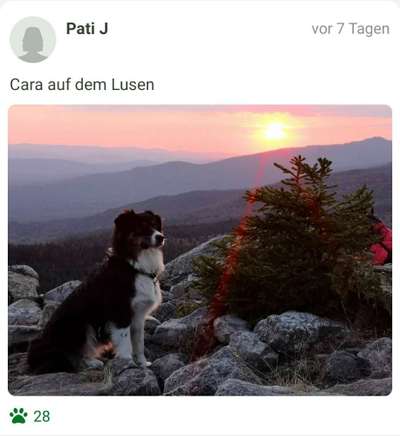 Challenge 41 - Mein Hund im Urlaub-Beitrag-Bild